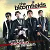 The Bloomfields - Its Complicated - Single